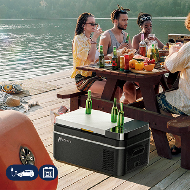 Mini refrigerator car fridge new arrivals